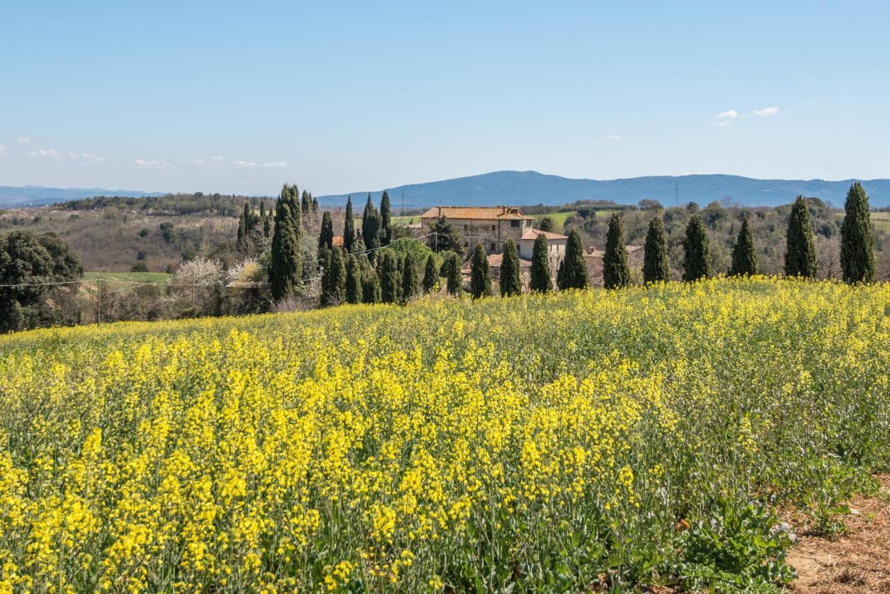 Appartamento Nonno Gino Montegabbro Esterno foto
